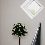 Vesiroos - Free Parking Appartement *