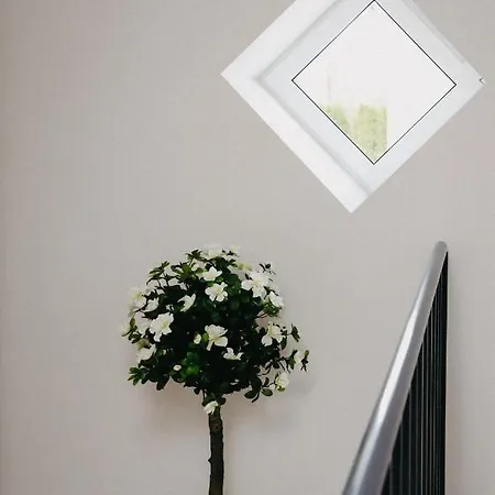 Vesiroos - Free Parking Apartament *