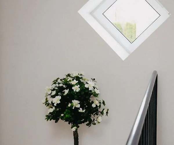 Vesiroos - Free Parking Apartman *